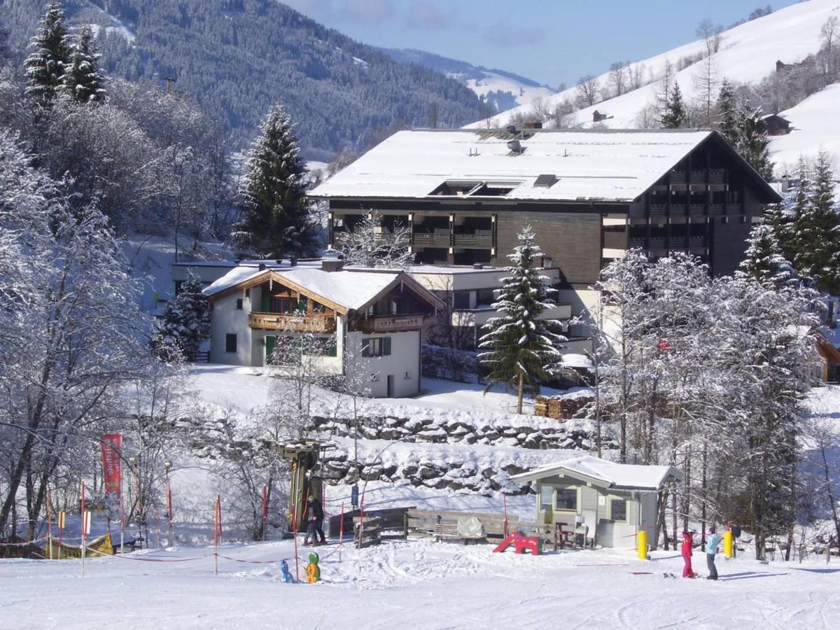 Apartment Almrock Maria Alm am Steinernen Meer Dış mekan fotoğraf